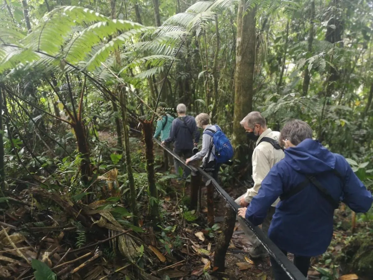 Bosque De Niebla Birding & Nature Cali