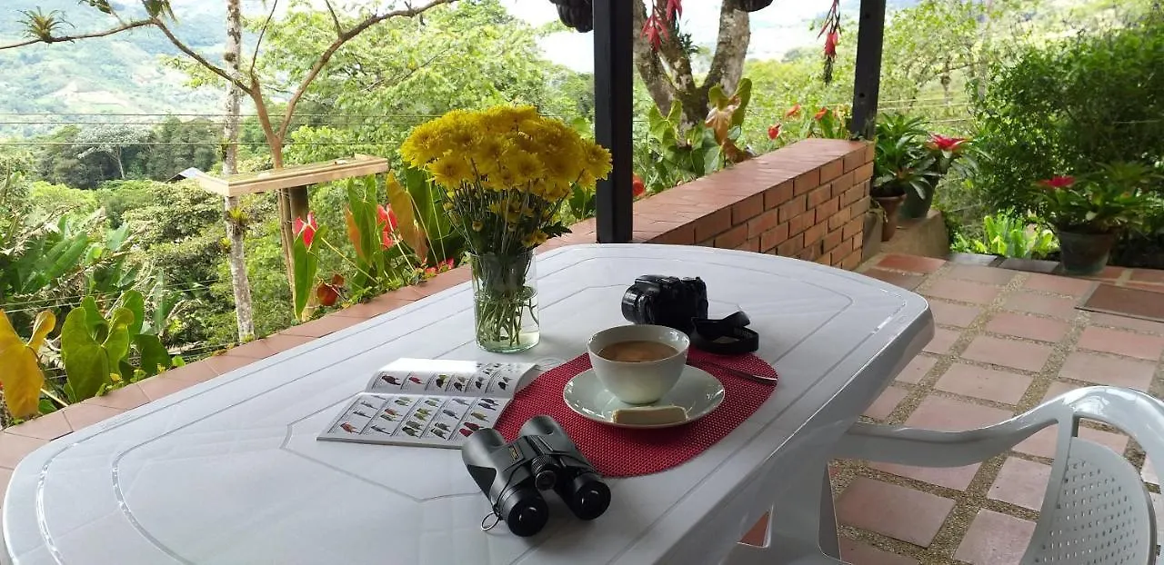Bosque De Niebla Birding & Nature Cali Colombia